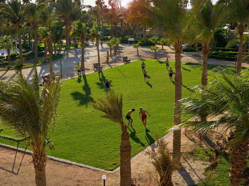 Hôtel Giftun Azur Resort 3* pas cher photo 6