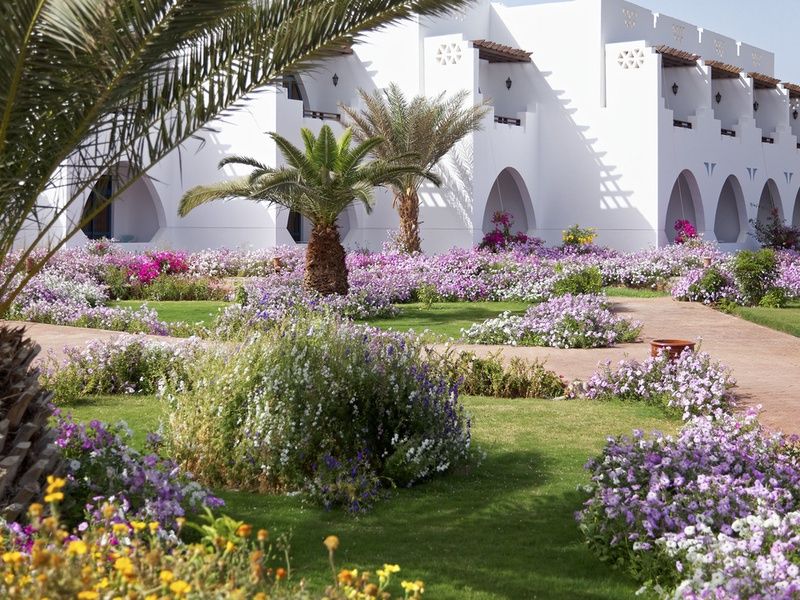 Hôtel Three Corners Equinox Resort 4* pas cher photo 2