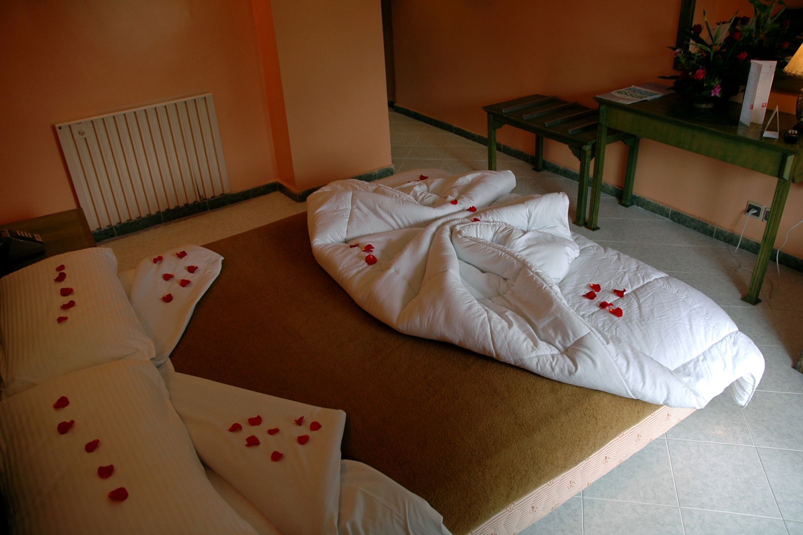 Hôtel Chems 3* sup pas cher photo 6