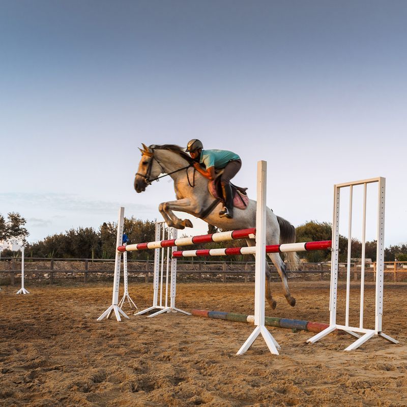 Hôtel Phenicia 4* pas cher photo 22