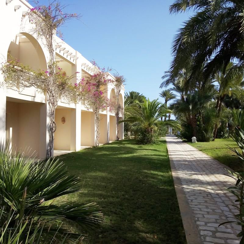 Mondi Club Zita Beach Resort 4* - Djerba Zarzis pas cher photo 12