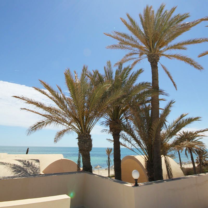 Mondi Club Zita Beach Resort 4* - Djerba Zarzis pas cher photo 16