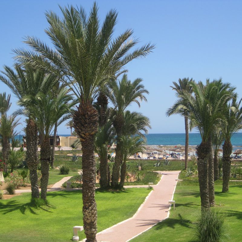 Hôtel Zephir & Spa 4* - Djerba Zarzis pas cher photo 7