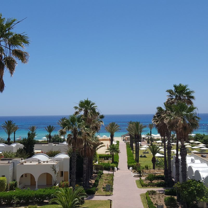 Hôtel Delfino Beach Resort 4* pas cher photo 5