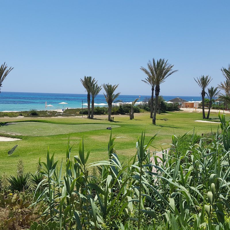 Hôtel Delfino Beach Resort 4* pas cher photo 9