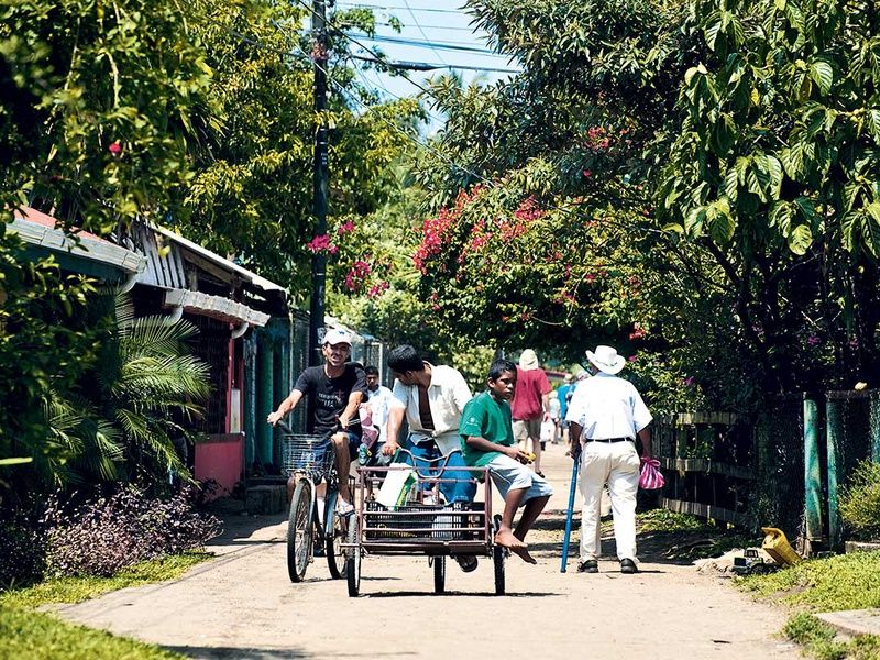 Circuit Merveilles du Costa Rica du Nord au Sud + Extension dans les Caraïbes et au Panama pas cher photo 5