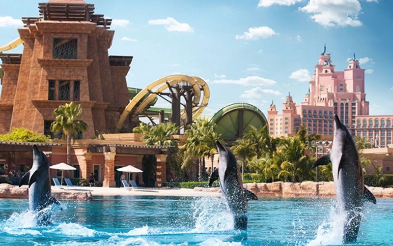 Hôtel Atlantis The Palm 5* pas cher photo 7