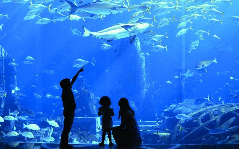 Hôtel Atlantis The Palm 5* pas cher photo 11