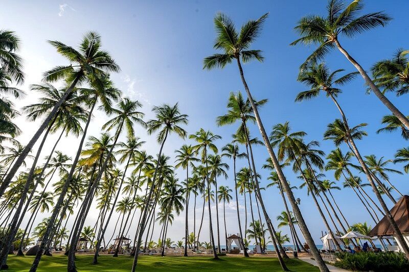 Viva Wyndham V Samana 5* - ADULTS ONLY pas cher photo 12