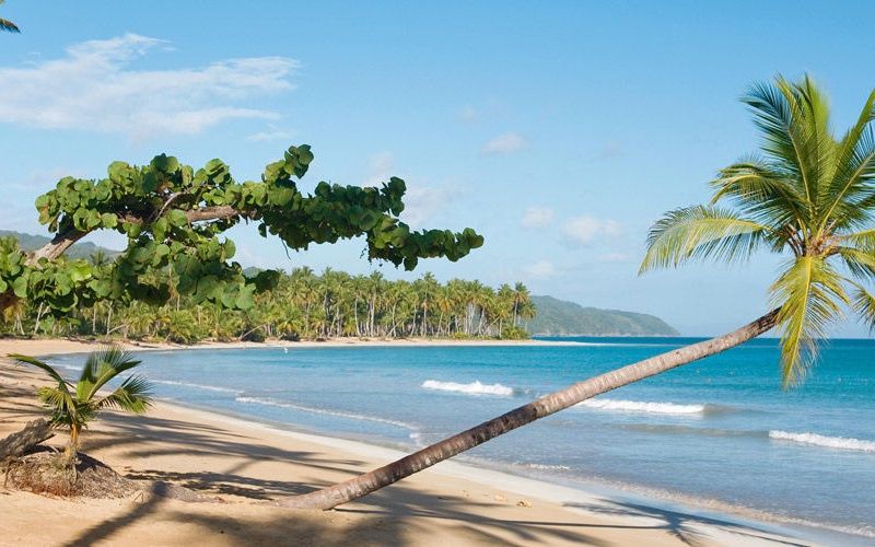 Hôtel Kappa Club Viva Wyndham V Samana 5* pas cher photo 10