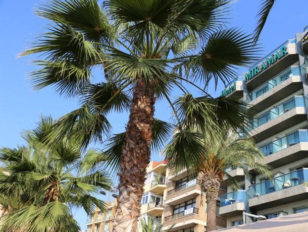 Hôtel Miramar 4* -Lloret Del Mar pas cher photo 2