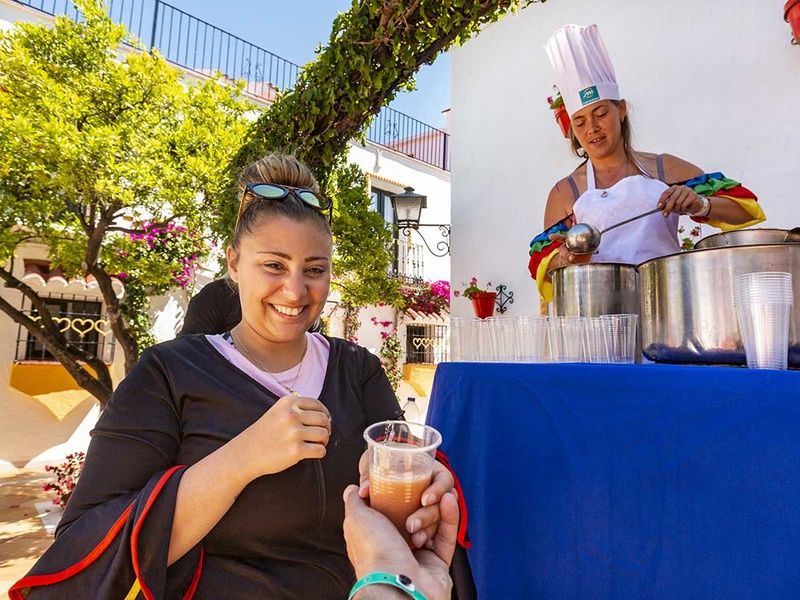 Hôtel Club Marmara Pueblo Andaluz 3* pas cher photo 43