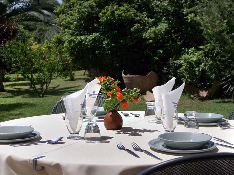 Hôtel Kalamaki Beach 4* pas cher photo 13