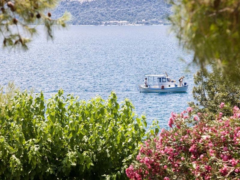 Hôtel Kalamaki Beach 4* pas cher photo 21