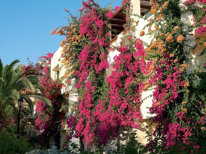 Hôtel Creta Royal 5* pas cher photo 5