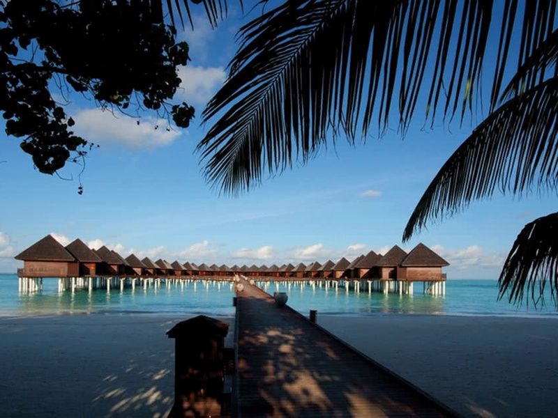 Hôtel Olhuveli Beach & Spa Resort 4* pas cher photo 6