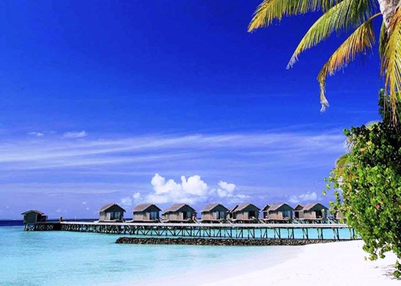 Hôtel Centara Ras Fushi Resort & Spa 4* pas cher photo 2