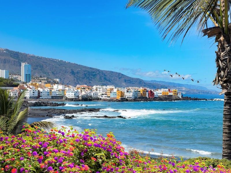 Hôtel Coral Teide Mar Apartments 3* pas cher photo 12