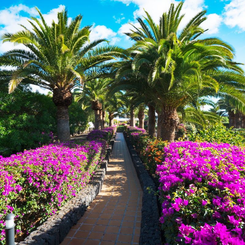 Hôtel Mondi Club Relaxia Olivina Lanzarote 4* pas cher photo 6