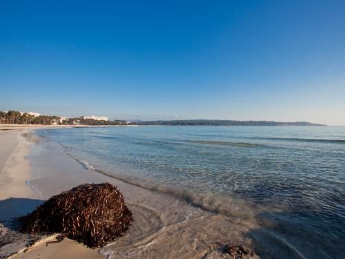 Hôtel Mariant 3* pas cher photo 14