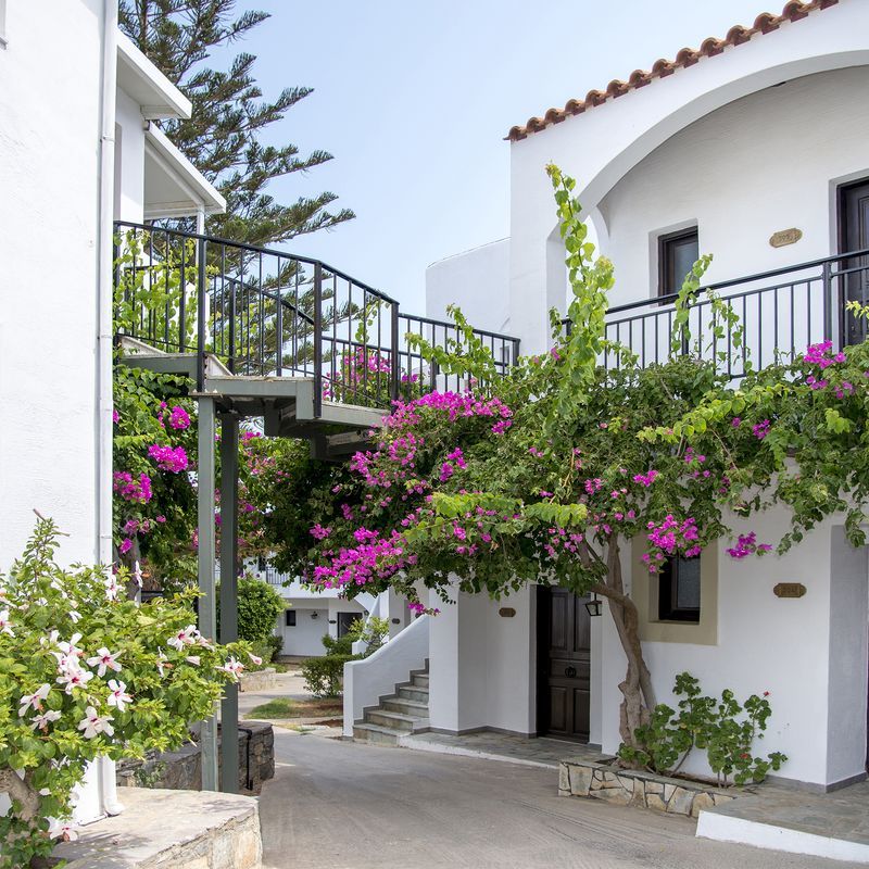 Hôtel Horizon Beach 4* pas cher photo 16
