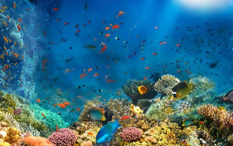 Hôtel Amphoras Blu 4* pas cher photo 11