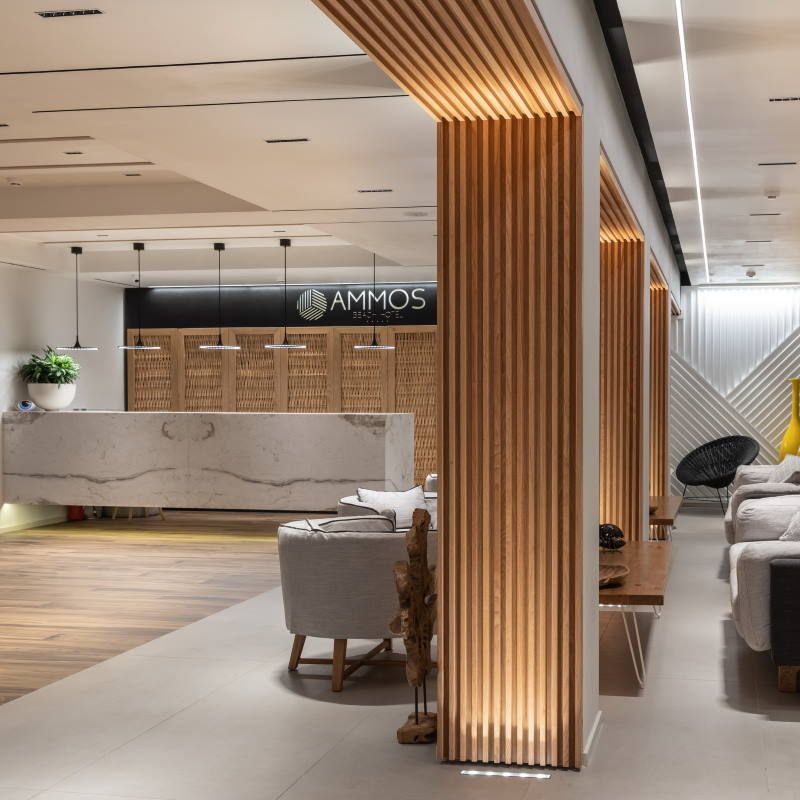 Hôtel Enorme Ammos Beach 5* pas cher photo 8