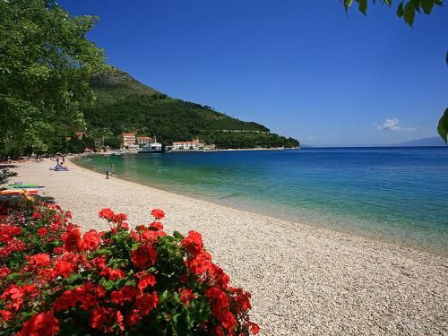 Club Jumbo Quercus 3* sup pas cher photo 2