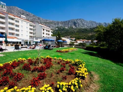 Club Jumbo Quercus 3* sup pas cher photo 7