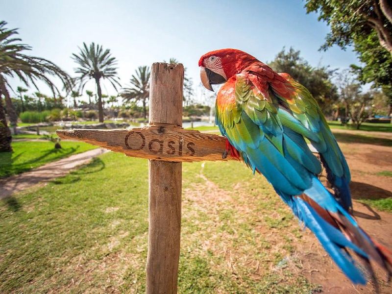 Domaine Villate Limoune By Ôvoyages 4* pas cher photo 12