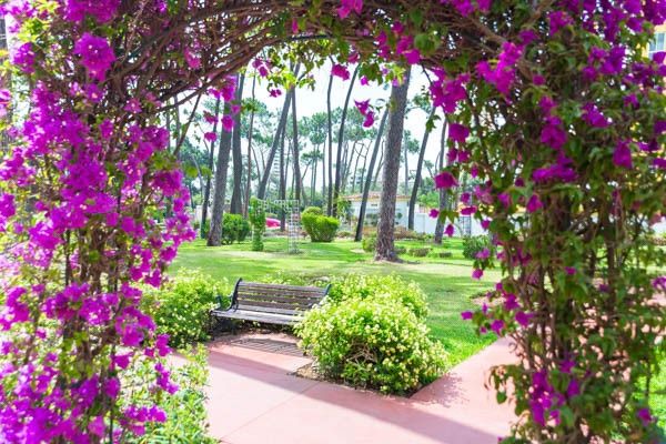 Hôtel Club Framissima AluaSun Marbella Park 4* pas cher photo 18