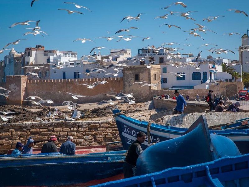 Circuit Marrakech et Essaouira En Riad pas cher photo 12