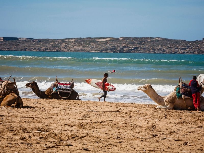 Circuit Marrakech et Essaouira En Riad pas cher photo 15