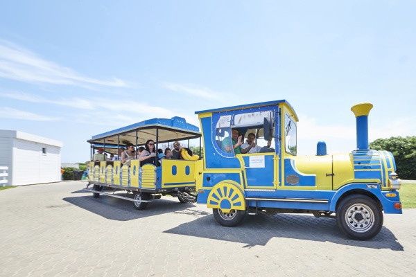 Hôtel Riva Marina Resort 4* pas cher photo 9