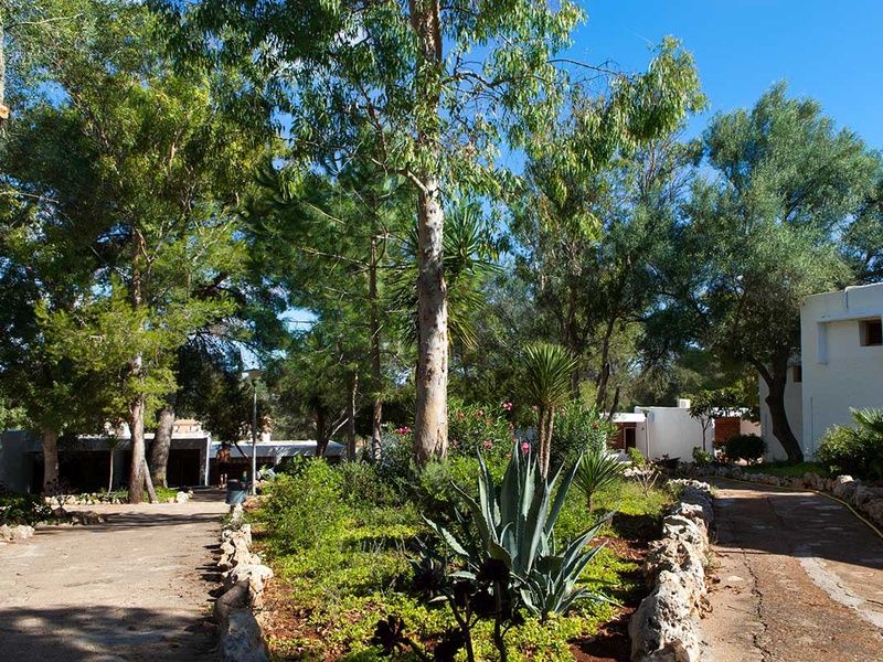 Hôtel Club Marmara Del Mar 3* pas cher photo 22