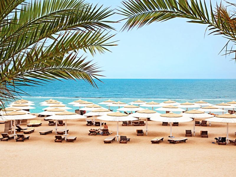 Hôtel Jaz Neo Reef 4* Marsa Alam pas cher photo 16