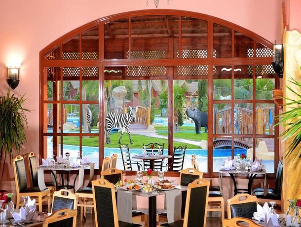 Hôtel Pickalbatros Jungle Aqua Park Resort by Neverland 4* pas cher photo 11