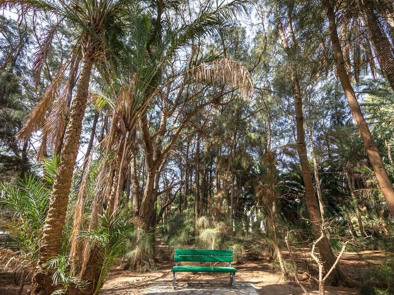 Hôtel Marhaba Royal Salem 4* pas cher photo 12