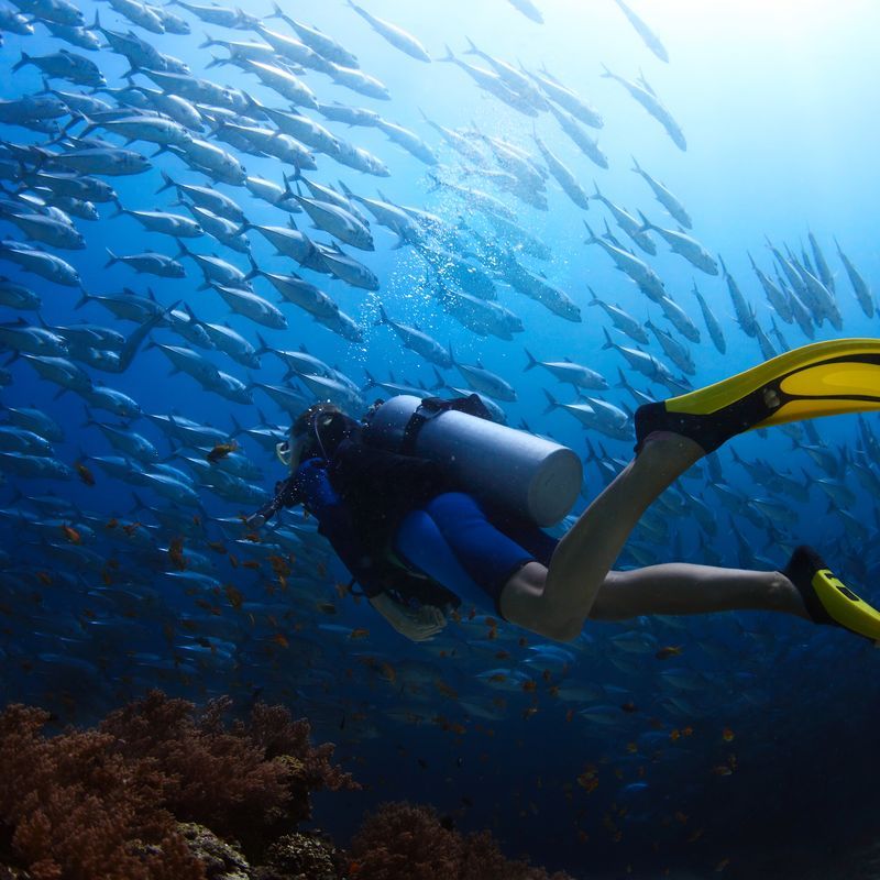 Hôtel Stella Beach Resort & Spa 5* pas cher photo 28