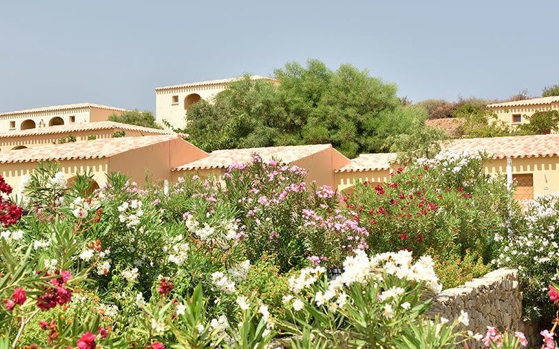 Hôtel Club Coralia Janna e Sole 4* avec location de voiture pas cher photo 17