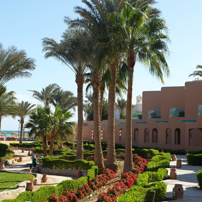 Club Paradisio El Gouna 4* pas cher photo 7