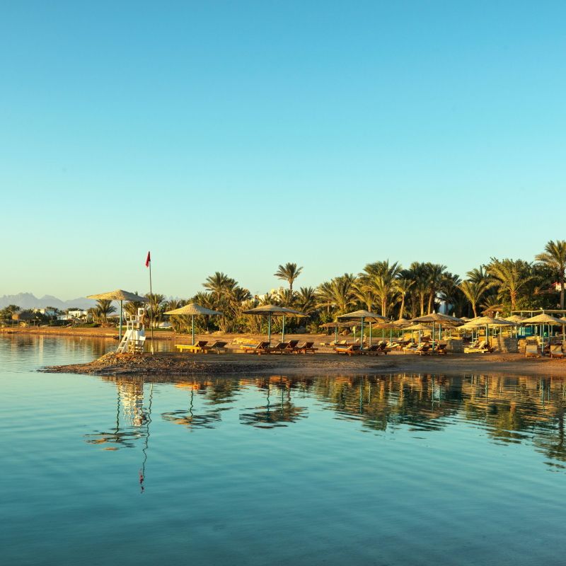 Club Paradisio El Gouna 4* pas cher photo 9