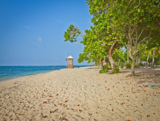 Résidence Tropicale pas cher photo 11