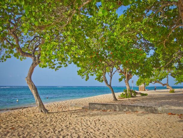 Résidence Tropicale pas cher photo 15