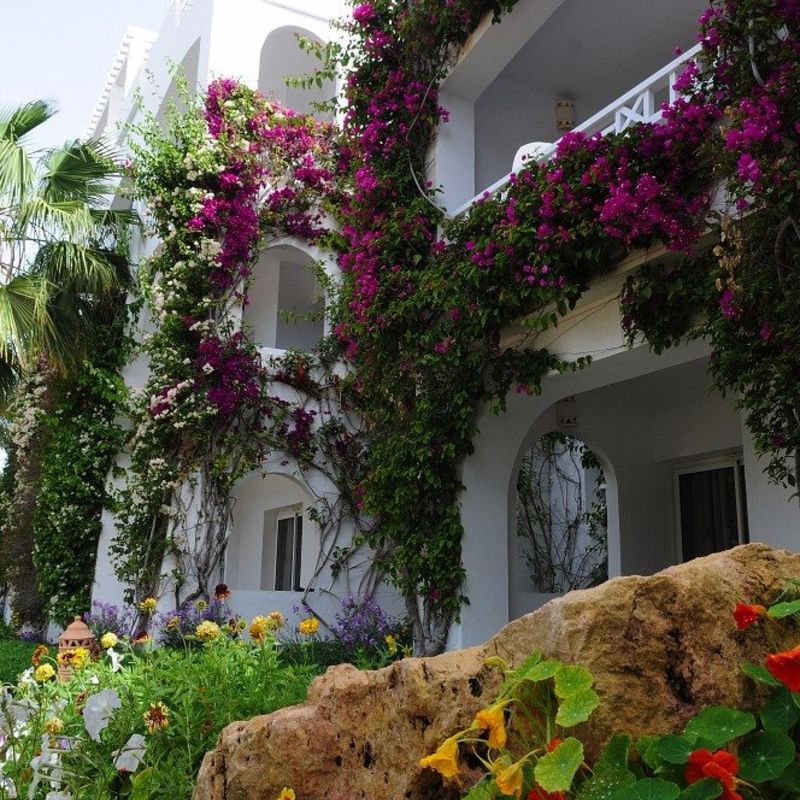Hôtel Vincci Djerba Resort 4* Long Séjour - Bagage inclus pas cher photo 7