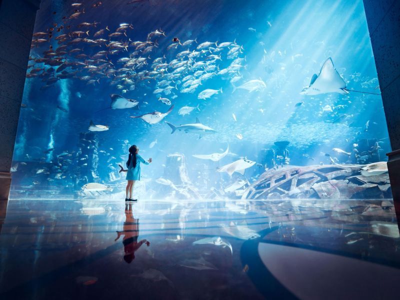 Atlantis The Palm 5* pas cher photo 13