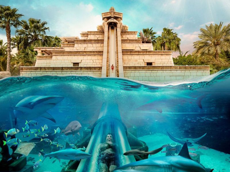 Atlantis The Palm 5* pas cher photo 18