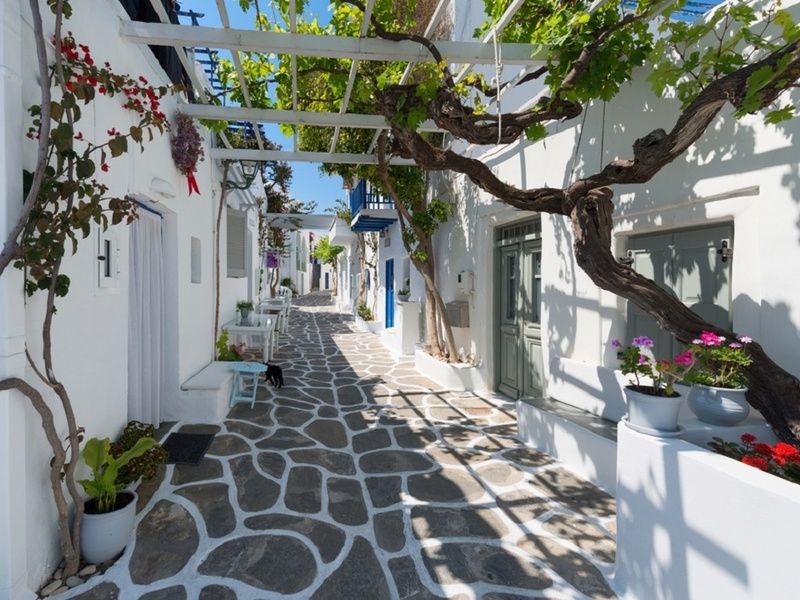 Balade dans les Cyclades : Athènes, Santorin & Paros en 3* ou 4* pas cher photo 11