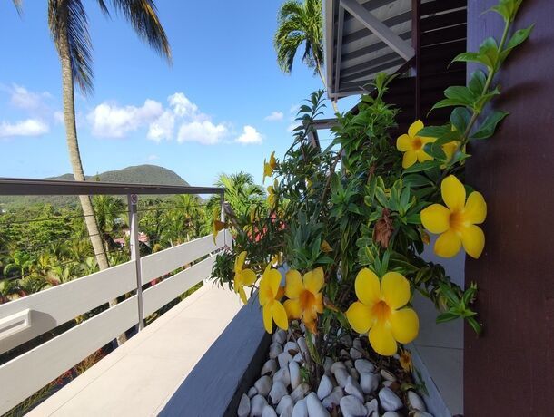 Résidence Habitation Grand Anse pas cher photo 16