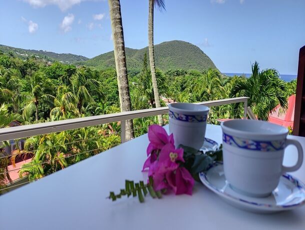 Résidence Habitation Grand Anse pas cher photo 18